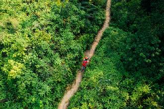 cyclist riding on forest trail