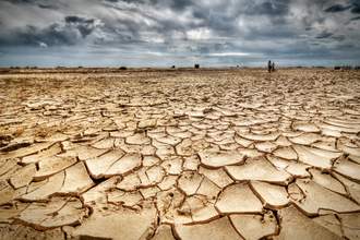 dried dirt in desert