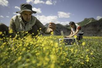 ecology fieldwork