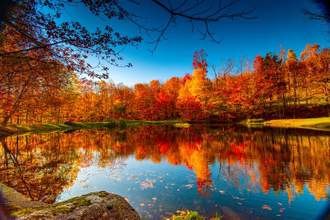 fall foliage along a lake