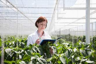 female scientist examining plants in a greenhouse