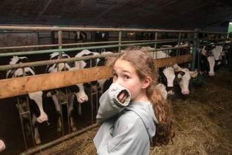 girl holding sleeve over her nose with standing by the cow enclosure