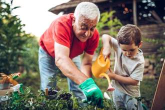 grandfather working on a garden with their grandchild