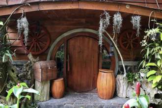 hobbit house with round doors numerous plants and other outdoor decorations