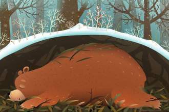 illustration of a sleeping bear in hibernation on a winter day