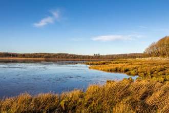 lake on the left of the screen with long grass meadow to the right
