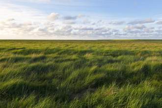 landscape in the german north sea region