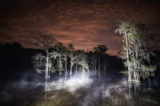 light radiating from the swamp