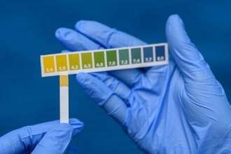 litmus paper applied to the ph scale