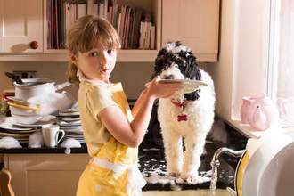 little girl looking guilty while her dog stands on the kitchen counter licking a dirty plate