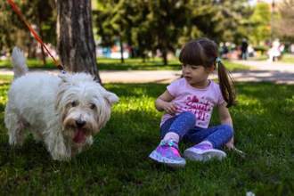 little girl looking uncertainly at a dog passing by while in the park