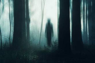 Word of the Day: wraith
