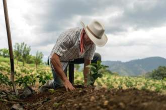 man sowing his land on the farm