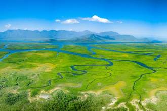 meandering rivers and mangroves