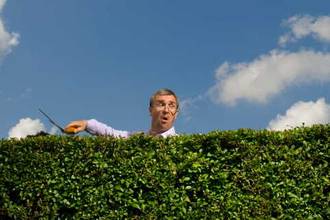 nosey neighbor glancing over hedges