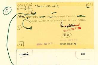 Word of the Day: marginalia