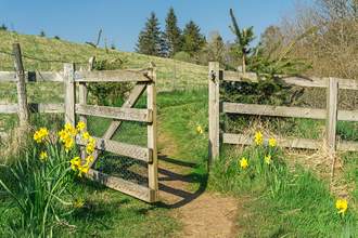 open gate leading to trail