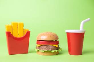 plastic burger and fries
