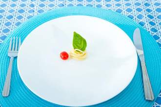 plate with a tiny food portion