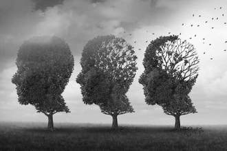 three trees with the leaves fluttering away in stages