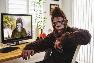 two gorillas on a video chat with each other