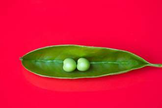 two peas in a pod on a red background
