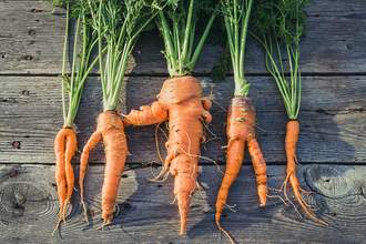unevenly shaped carrots