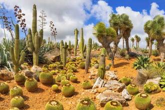 view of a desert landscape
