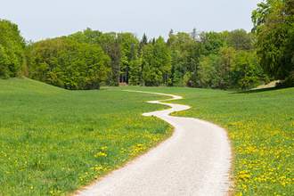 winding path going through park
