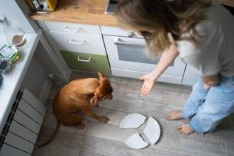 woman angry at her dog after they broke a plate in the kitchen