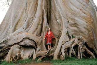 woman standing at the base of a giant banyan tree