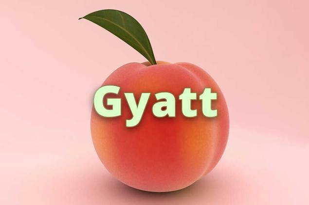 Gyatt Color GYATT Slang Meaning | Merriam-Webster