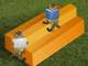 cats on impossible timber