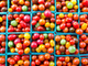 colorful grape tomatoes
