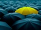 one umbrella with a different color