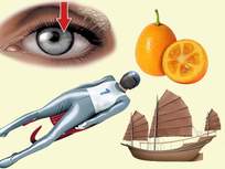 a collage of illustrations including an orange a figure on a sled a ship and an eye