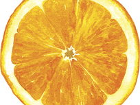 a citrus fruit possibly named after a person