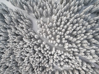 an aerial view of a path in a snow covered forest