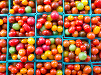 colorful grape tomatoes