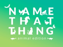 name that thing animal edition