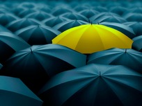 one umbrella with a different color