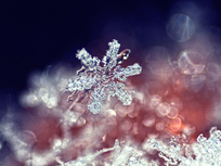 snowflake closeup