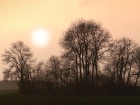 sunset in autumn