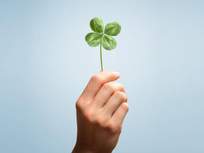 womans hand holding a green four leaf clover