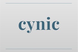 video cynic