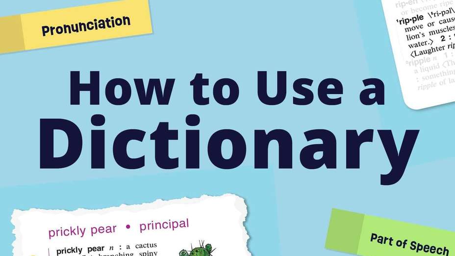 how to use a dictionary