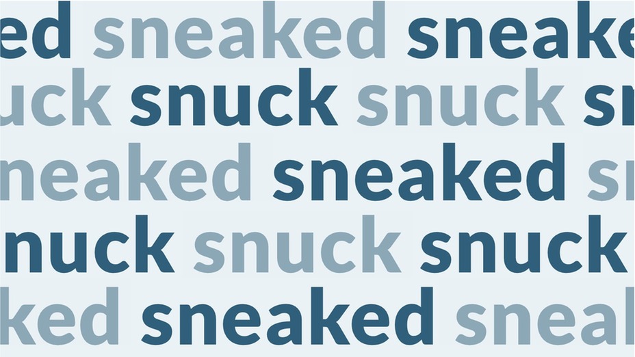 sneaked vs snuck video