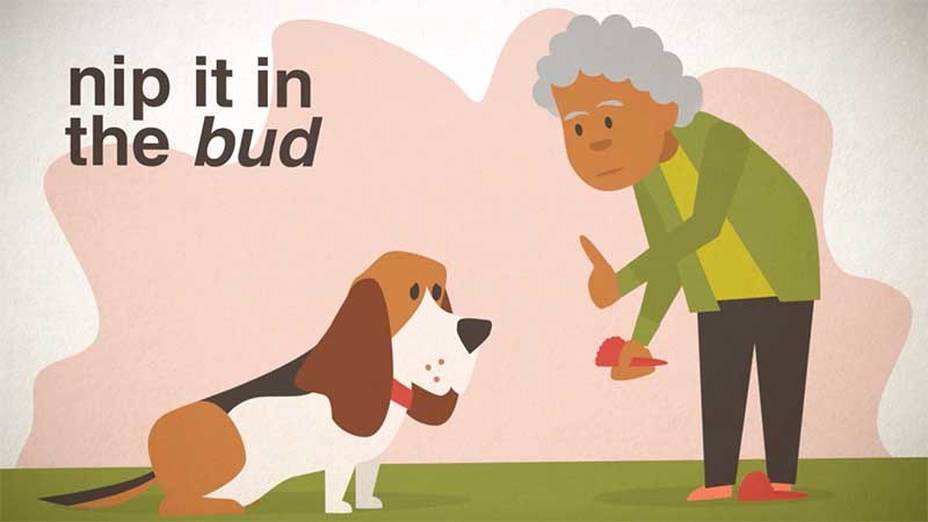woman and dog illustration