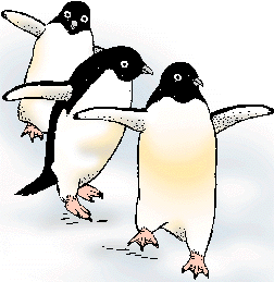 Illustration of adélie penguin