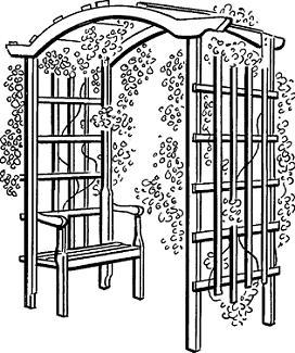 Illustration of arbor
